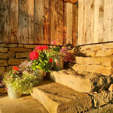 فيلا Granny'S House مويزي المظهر الخارجي الصورة