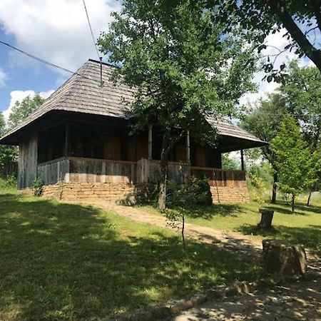 فيلا Granny'S House مويزي المظهر الخارجي الصورة