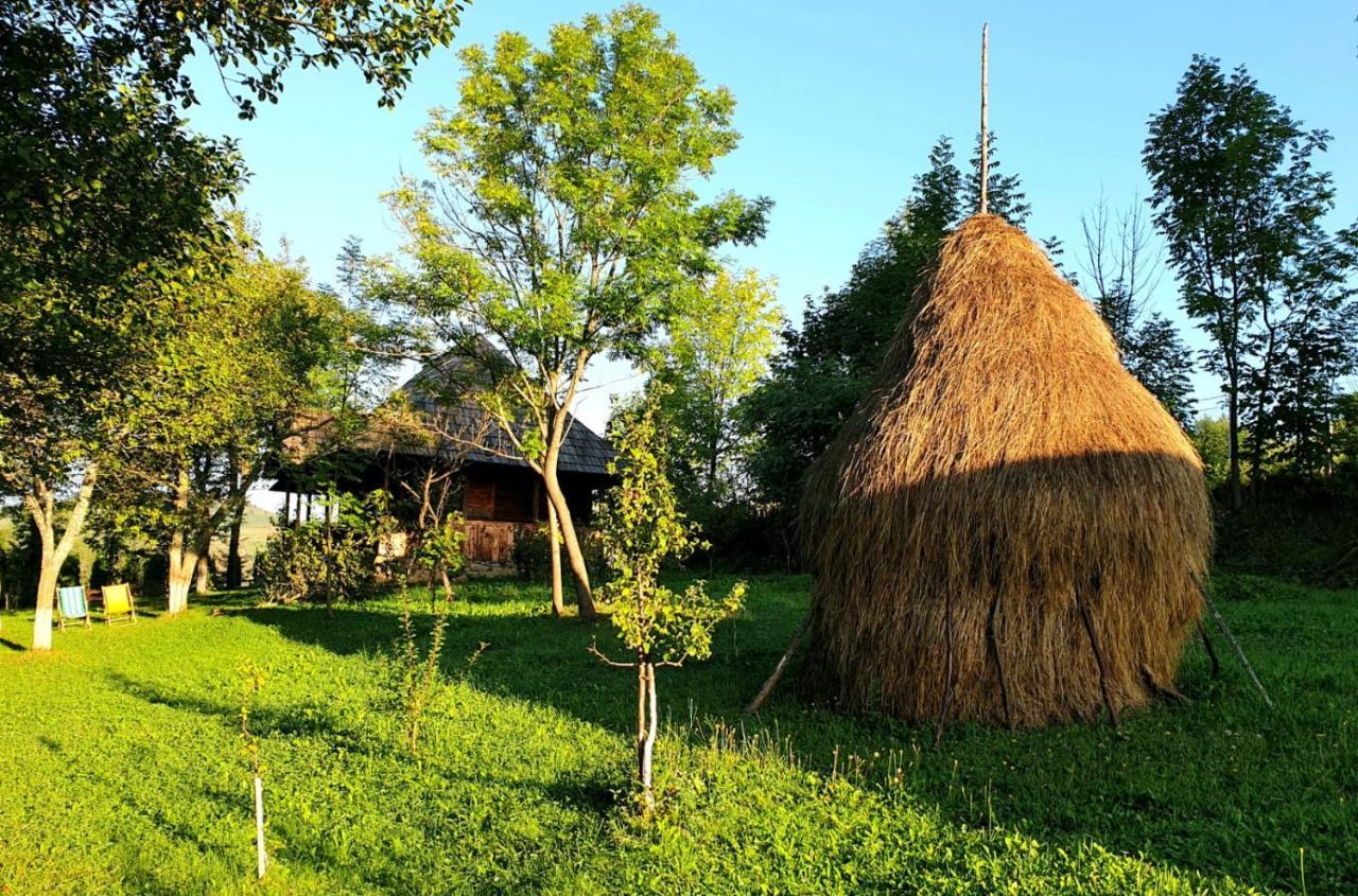 فيلا Granny'S House مويزي المظهر الخارجي الصورة