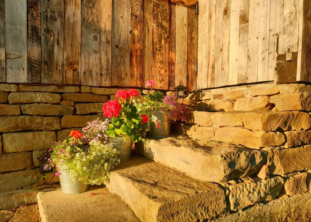 فيلا Granny'S House مويزي المظهر الخارجي الصورة