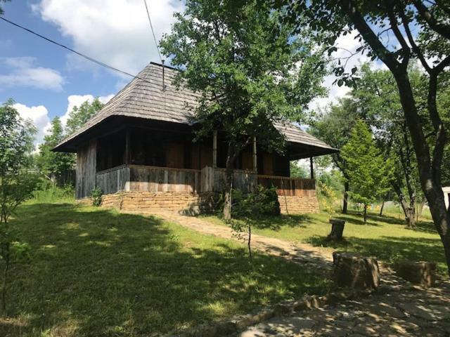 فيلا Granny'S House مويزي المظهر الخارجي الصورة
